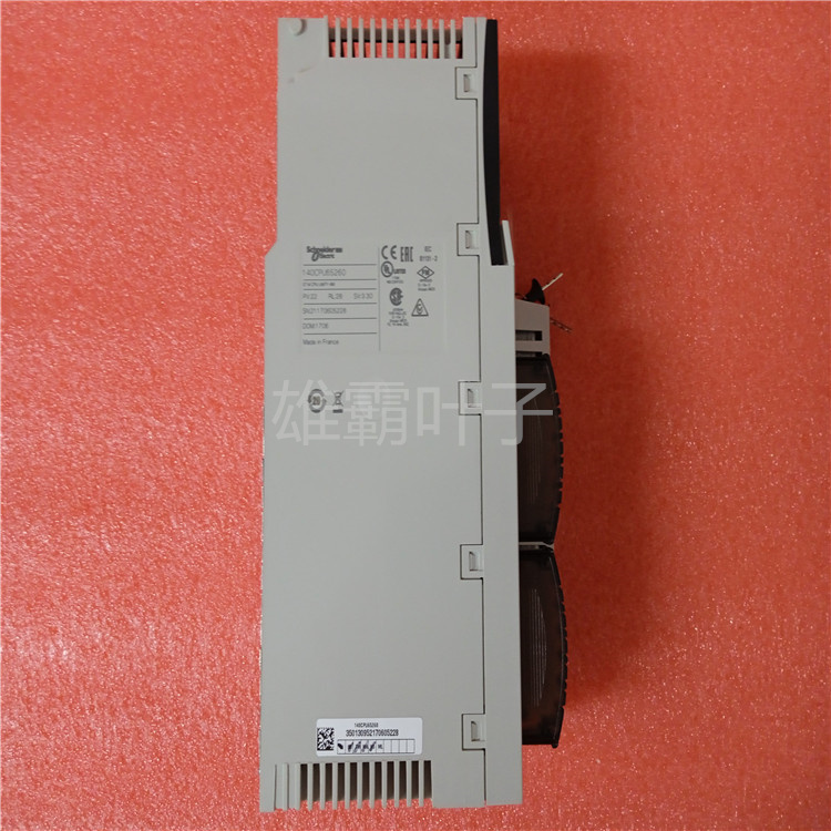 Schneider 140XCP90000 电源模块 扩展模块 CPU冗余模块 控制器 库存有货