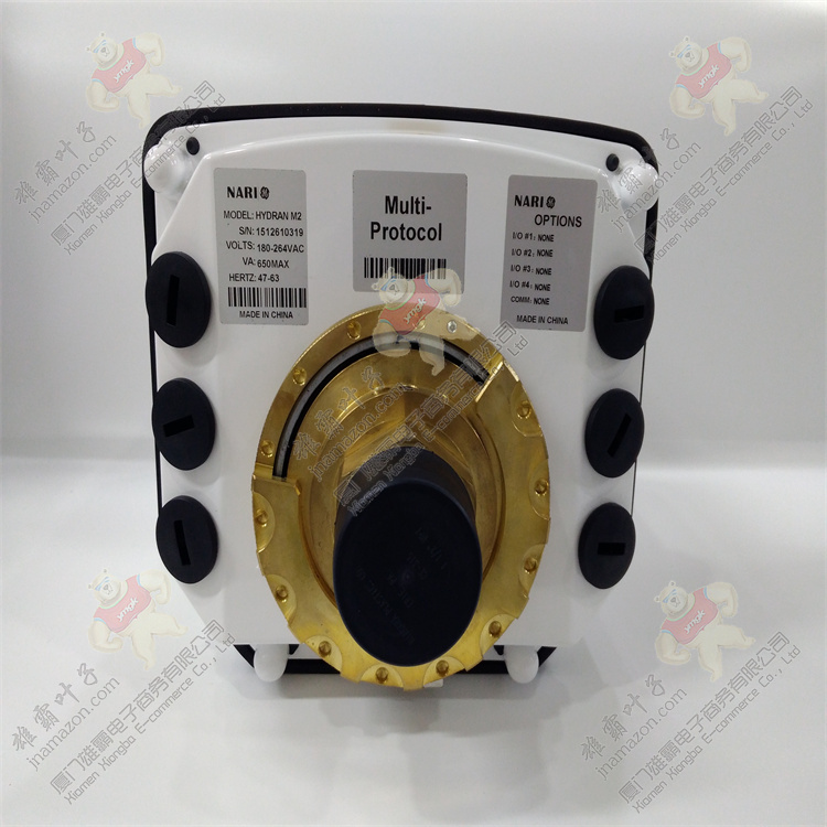 General Electric DS3800NEPB1F1E