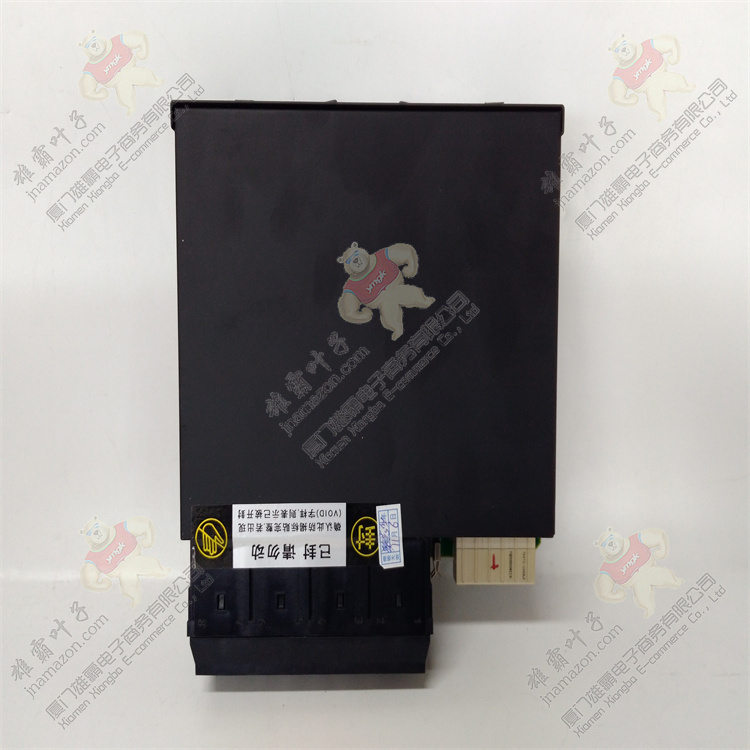IC5005TAW2000 | GE Fanuc 控制器模块