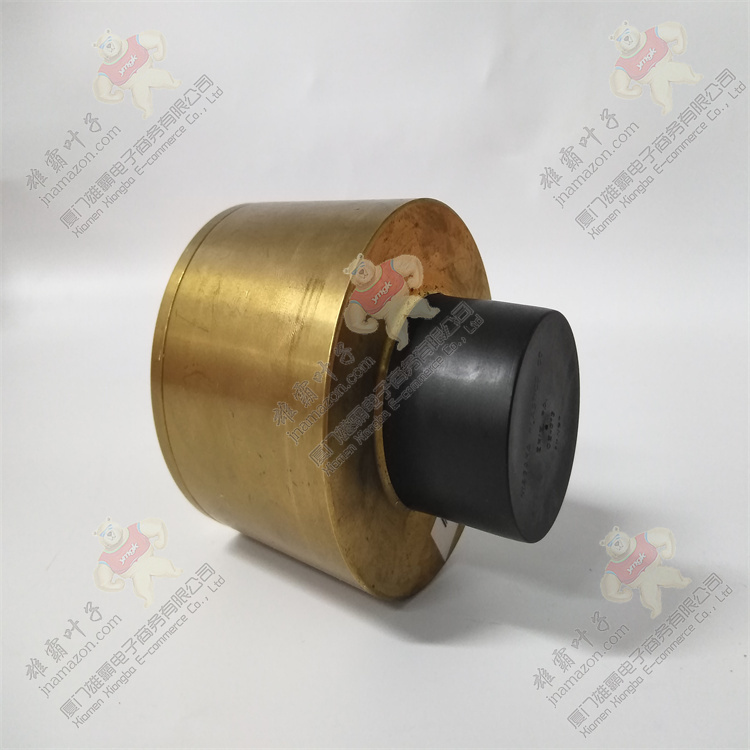 DS215DKLAG1AZZ01A | General Electric 燃气轮机模块