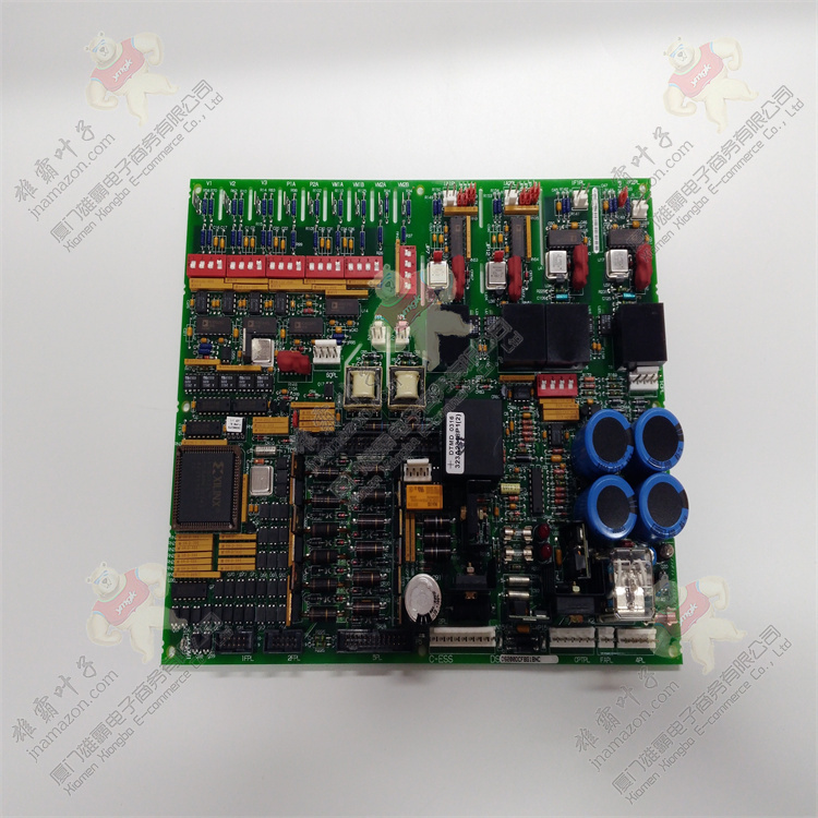 General Electric DS200IIBDG1AGA