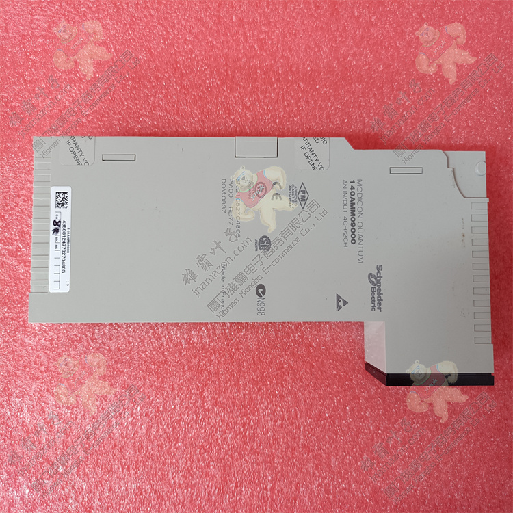 140AMM09000 | Schneider Electric 模拟量输入输出模块